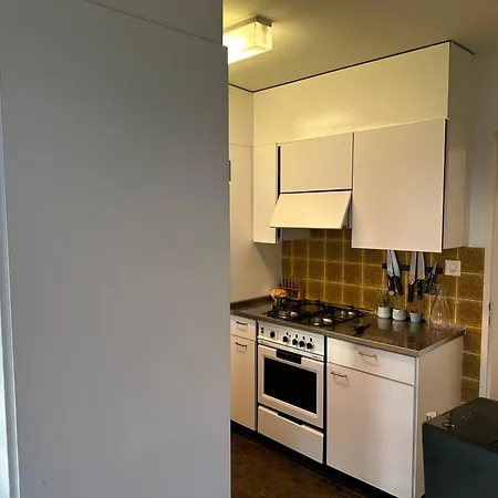 Lovely Room, 15 Min From Center, Mountain View Zurich Exterior photo